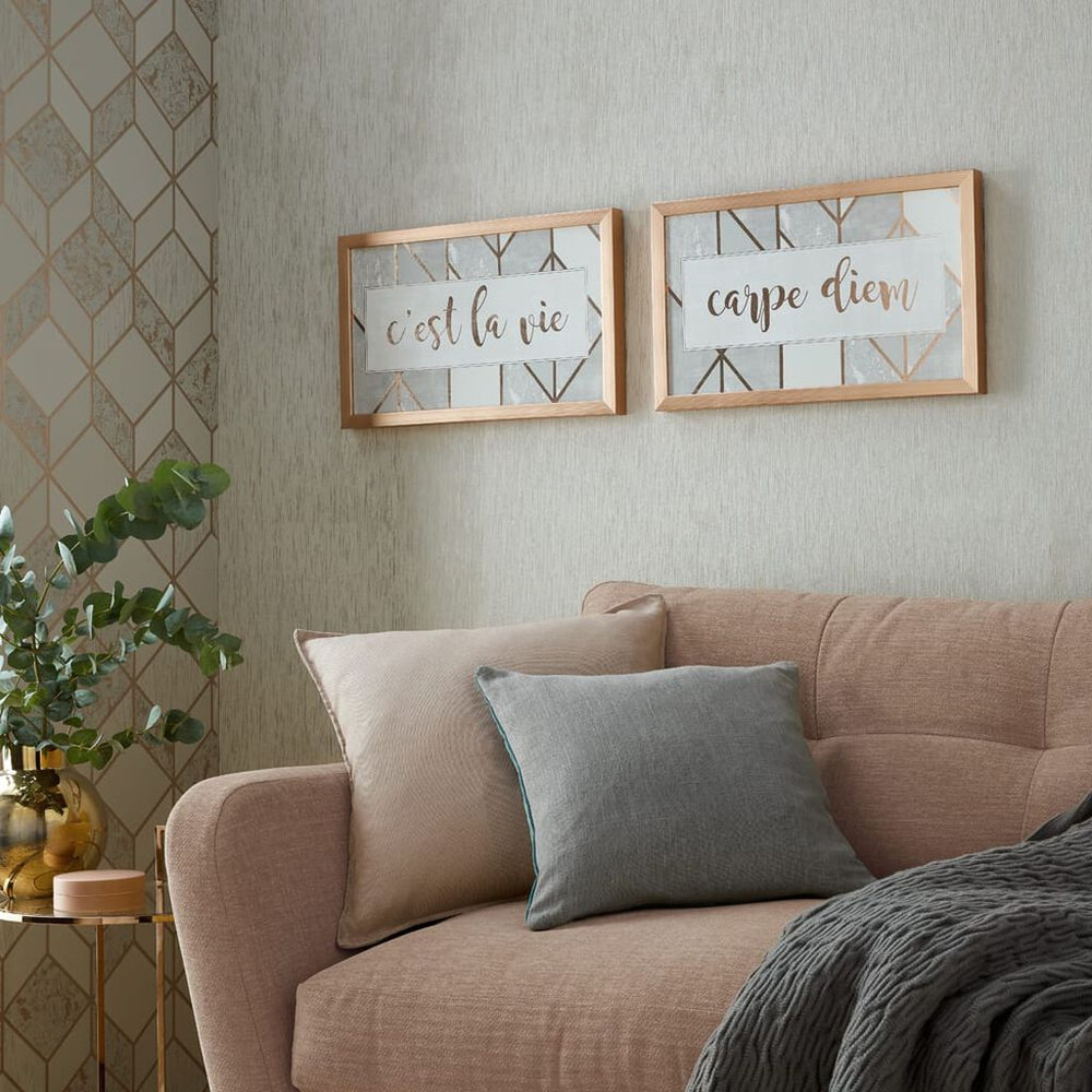 c'est la vie & carpe diem framed prints