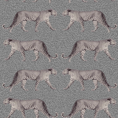 Glam Leopard Charcoal Wallpaper