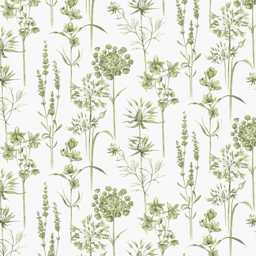 Botanical Wildflowers Wallpaper