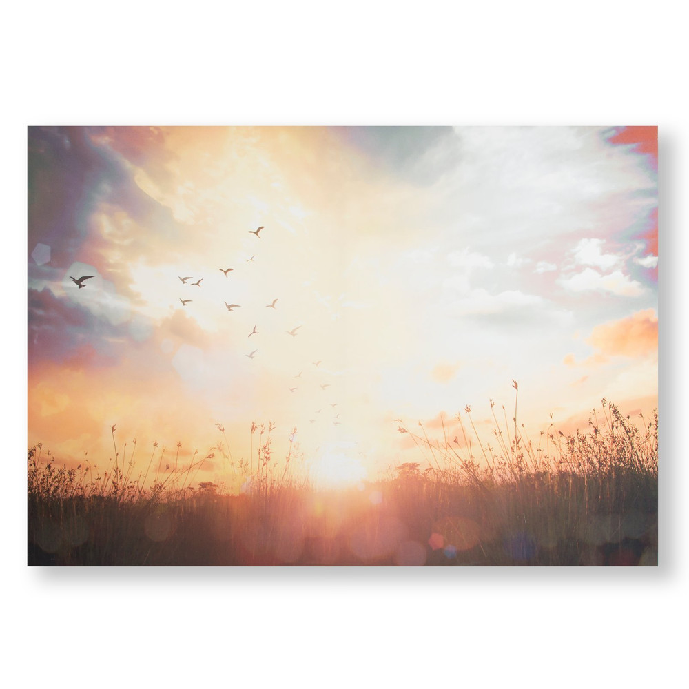 Serene Sunset Meadow Printed Canvas Wall Art - 105890_FRONT_SERENE SUNSET MEADOW_01.jpg