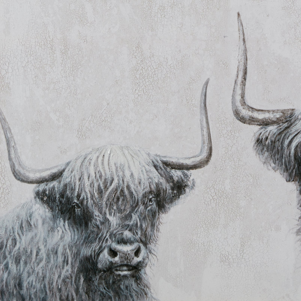 Highland Cows Box Framed Canvas