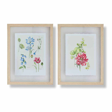 Fleur Studies Framed Prints