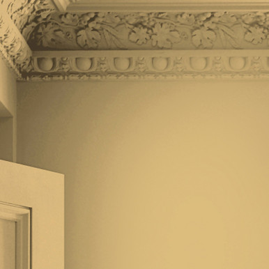 Laura Ashley Ochre Yellow Paint - 122841_DETAIL_2.5L OCHRE YELLOW MATT EMULSION PAINT_01.jpg