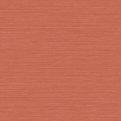 Stitch Please Terra Wallpaper - 120898_DETAIL_01.jpg