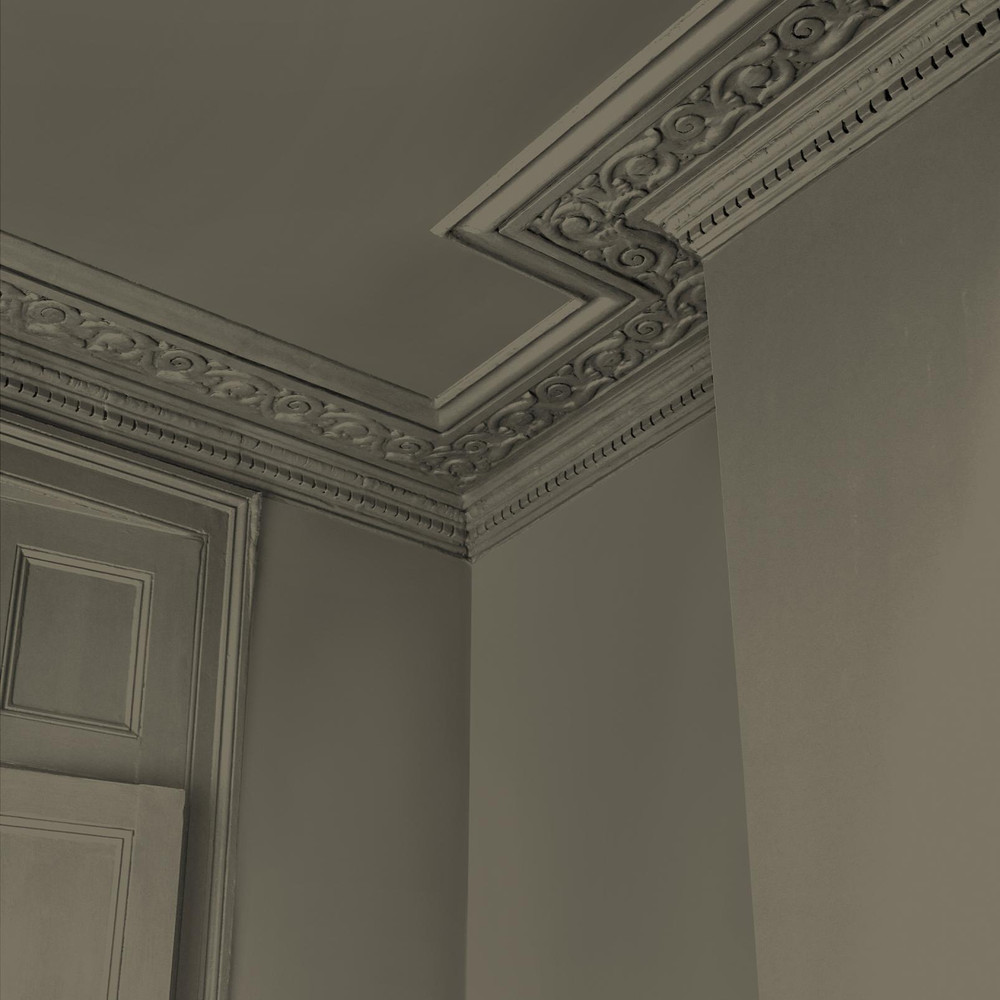 Abigail Ahern Wild Millet Paint