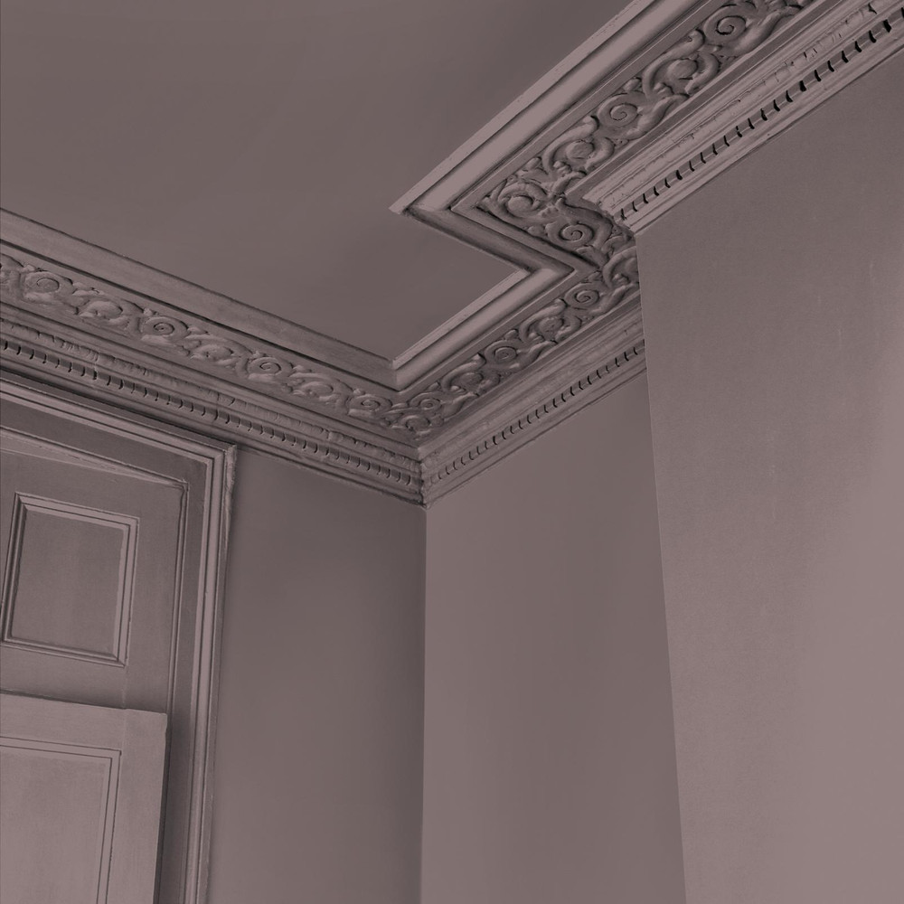 Abigail Ahern Sequoia Tree Paint