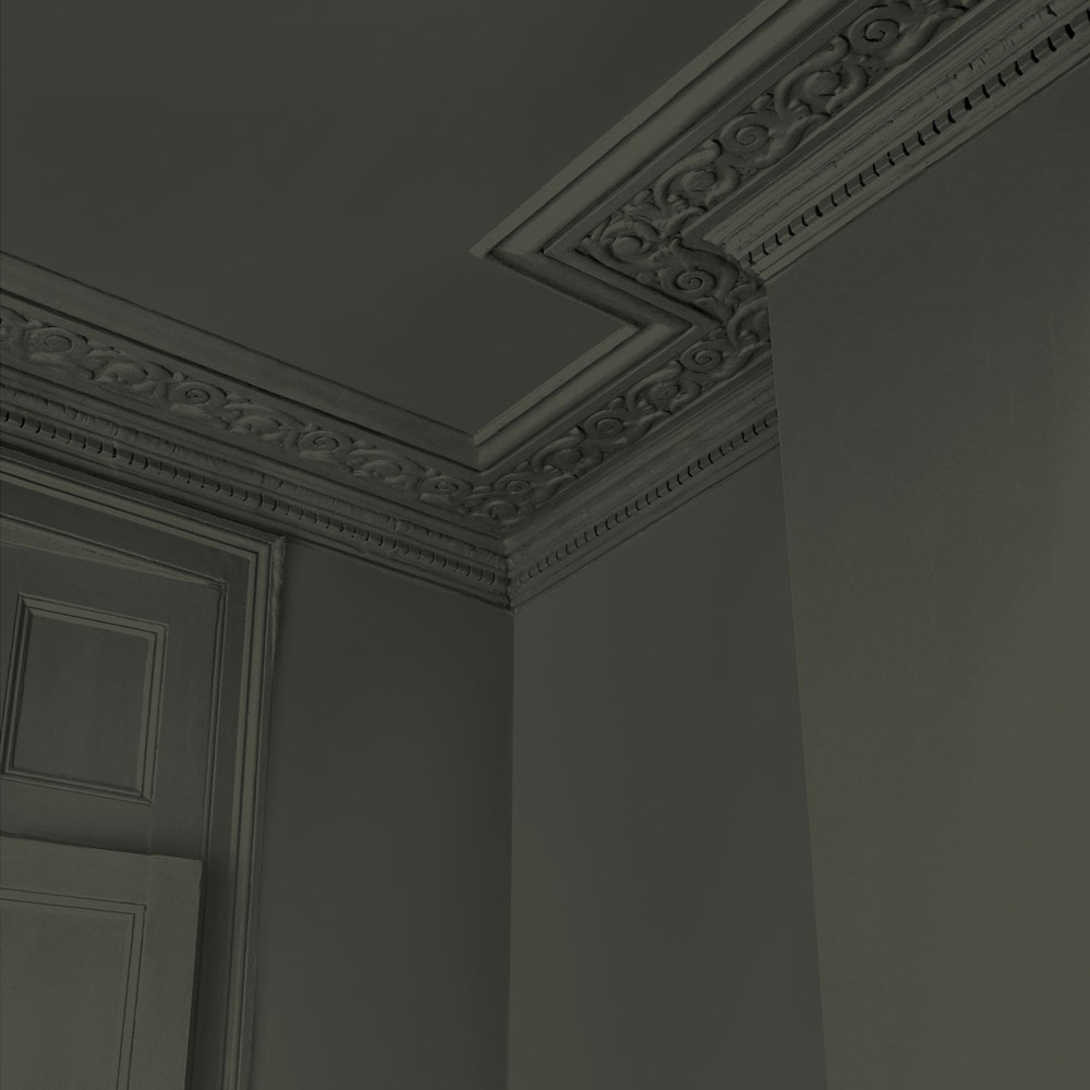 Abigail Ahern Sea Botanic Paint