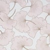 Begonia Pink Wallpaper Begonia Pink Wallpaper