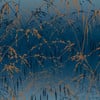 Meadow Grass French Navy & Copper Wallpaper Meadow Grass French Navy & Copper Wallpaper