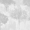 Birch Silver Wallpaper Birch Silver Wallpaper