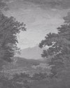 Sketch Forest Silver Bespoke Mural