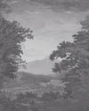 Sketch Forest Silver Bespoke Mural