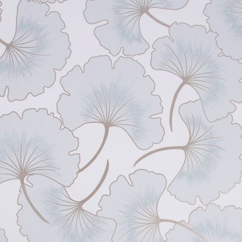 begonia blue wallpaper