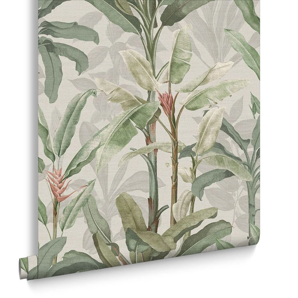 Borneo Powder Wallpaper