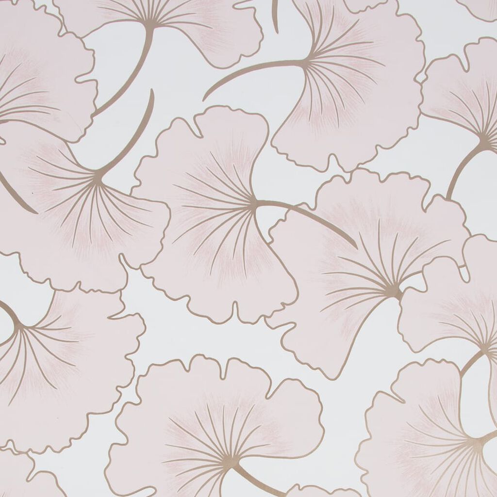 begonia pink wallpaper