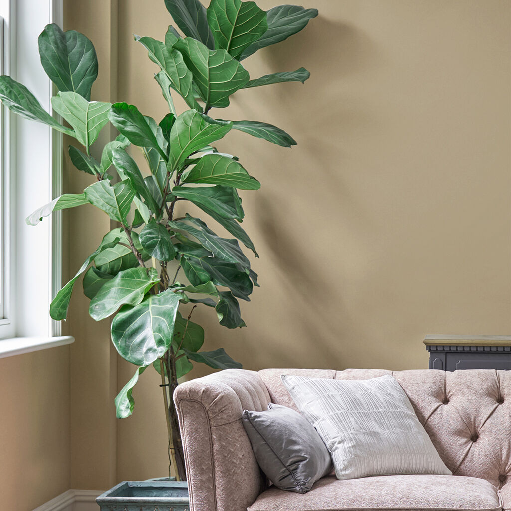 laura ashley pale gold paint