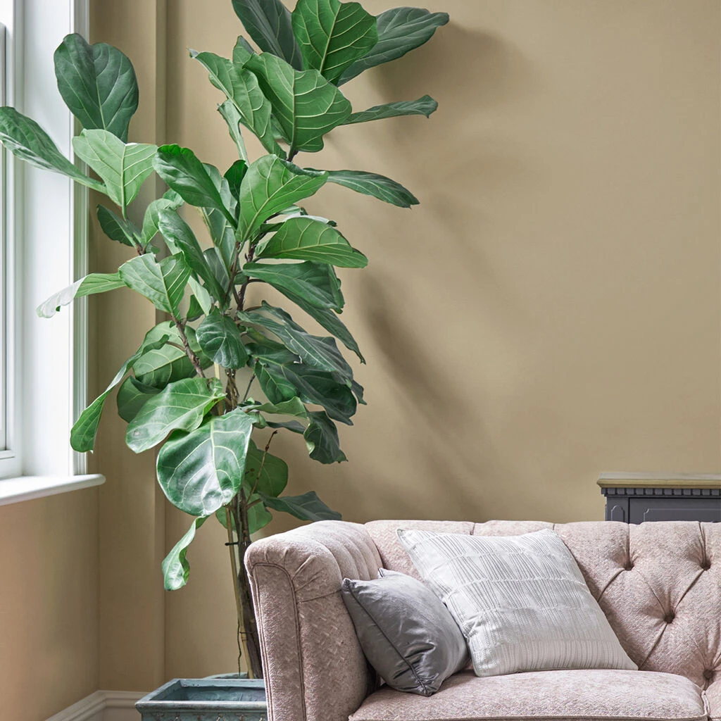 laura ashley pale gold paint