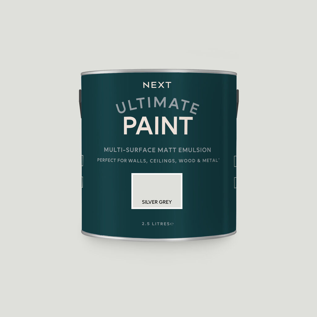 next silver grey paint