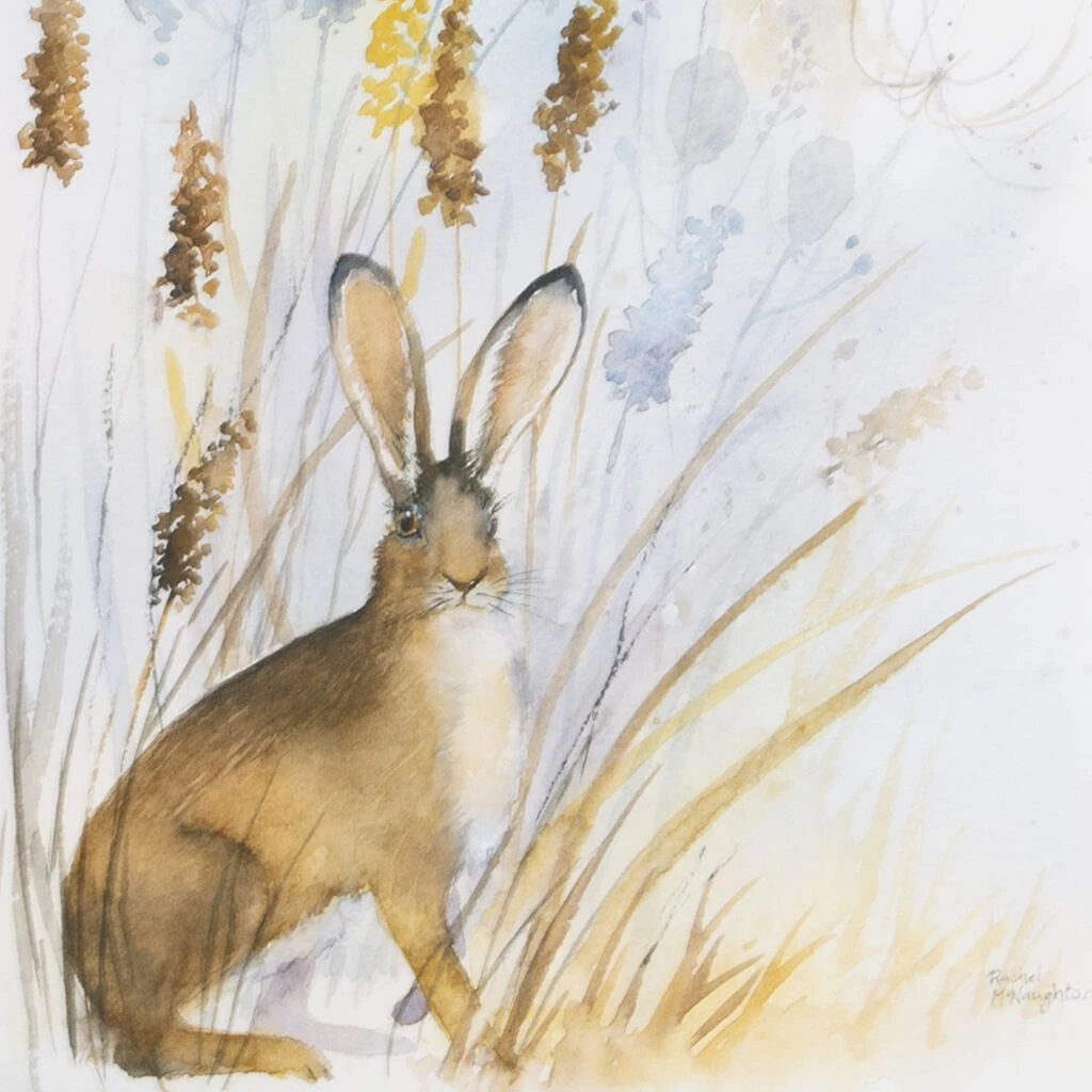 country hare framed print