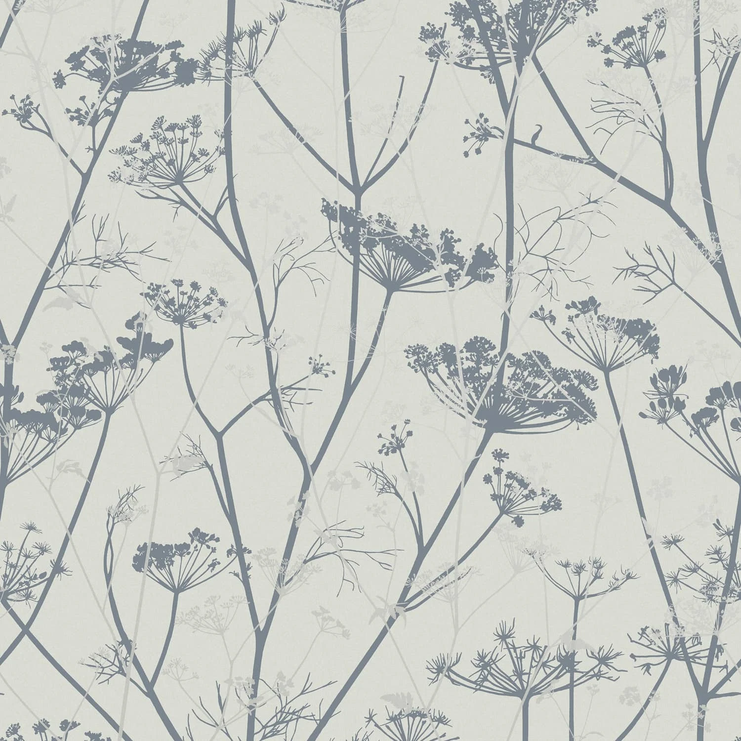 Wild Chervil Dove & Silver Wallpaper