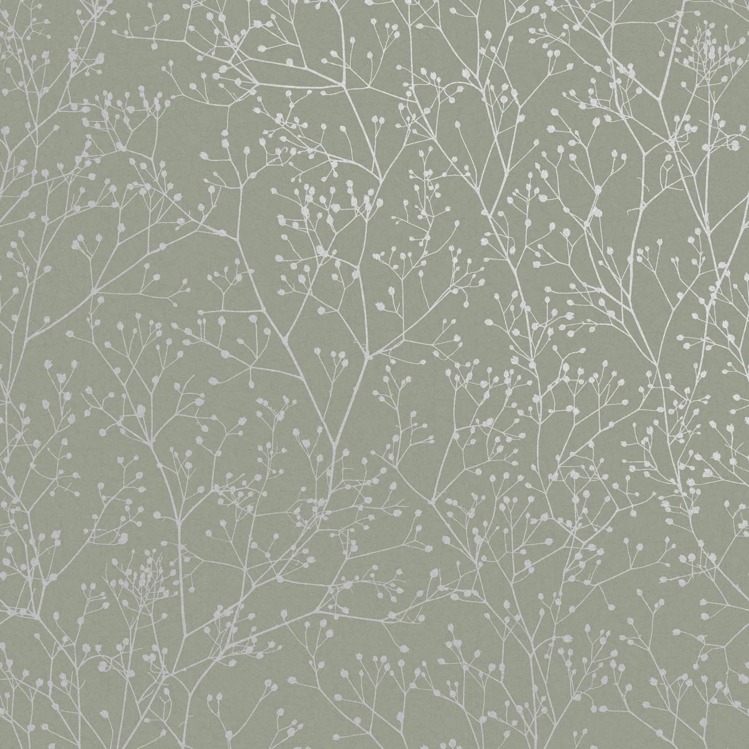 Gypsophila Spring Green & Silver Wallpaper
