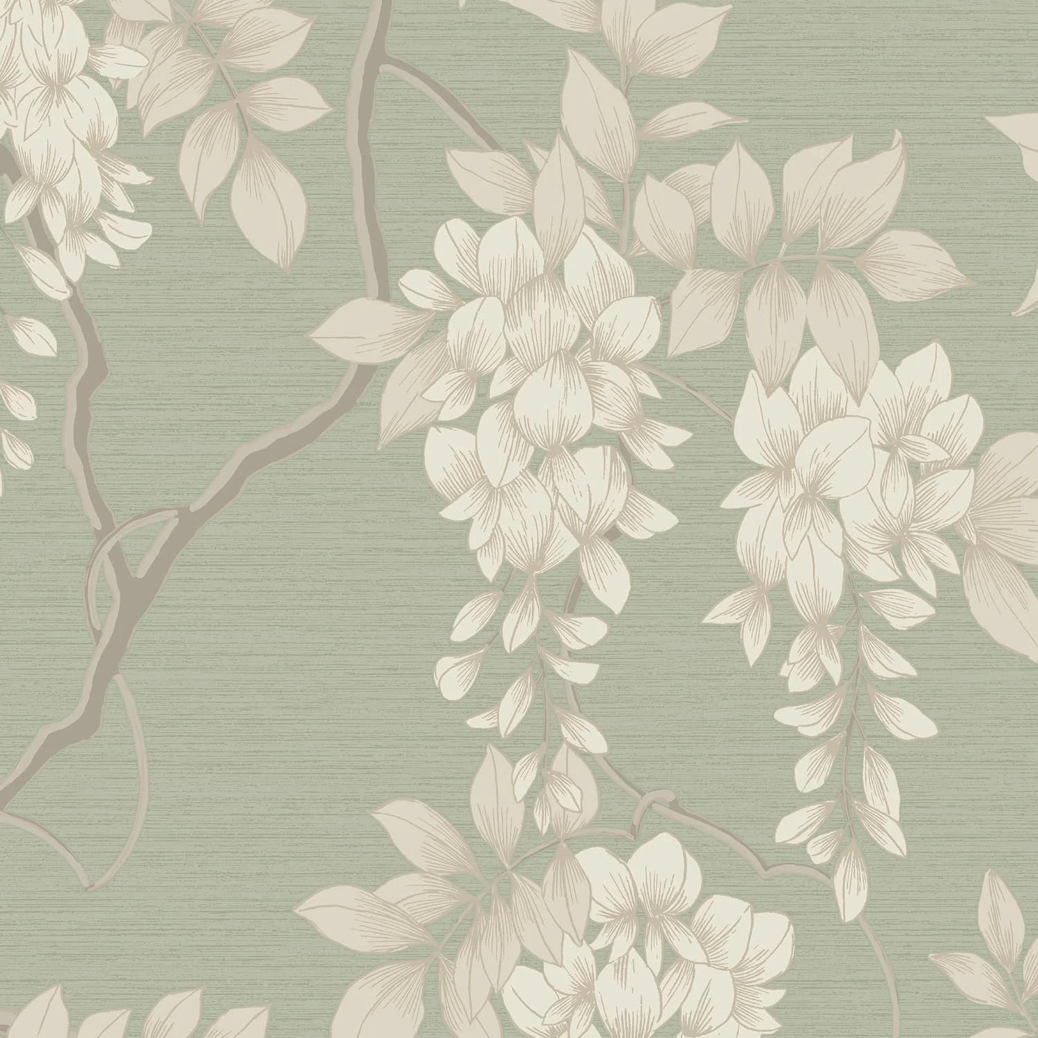 Wisteria Sage Wallpaper