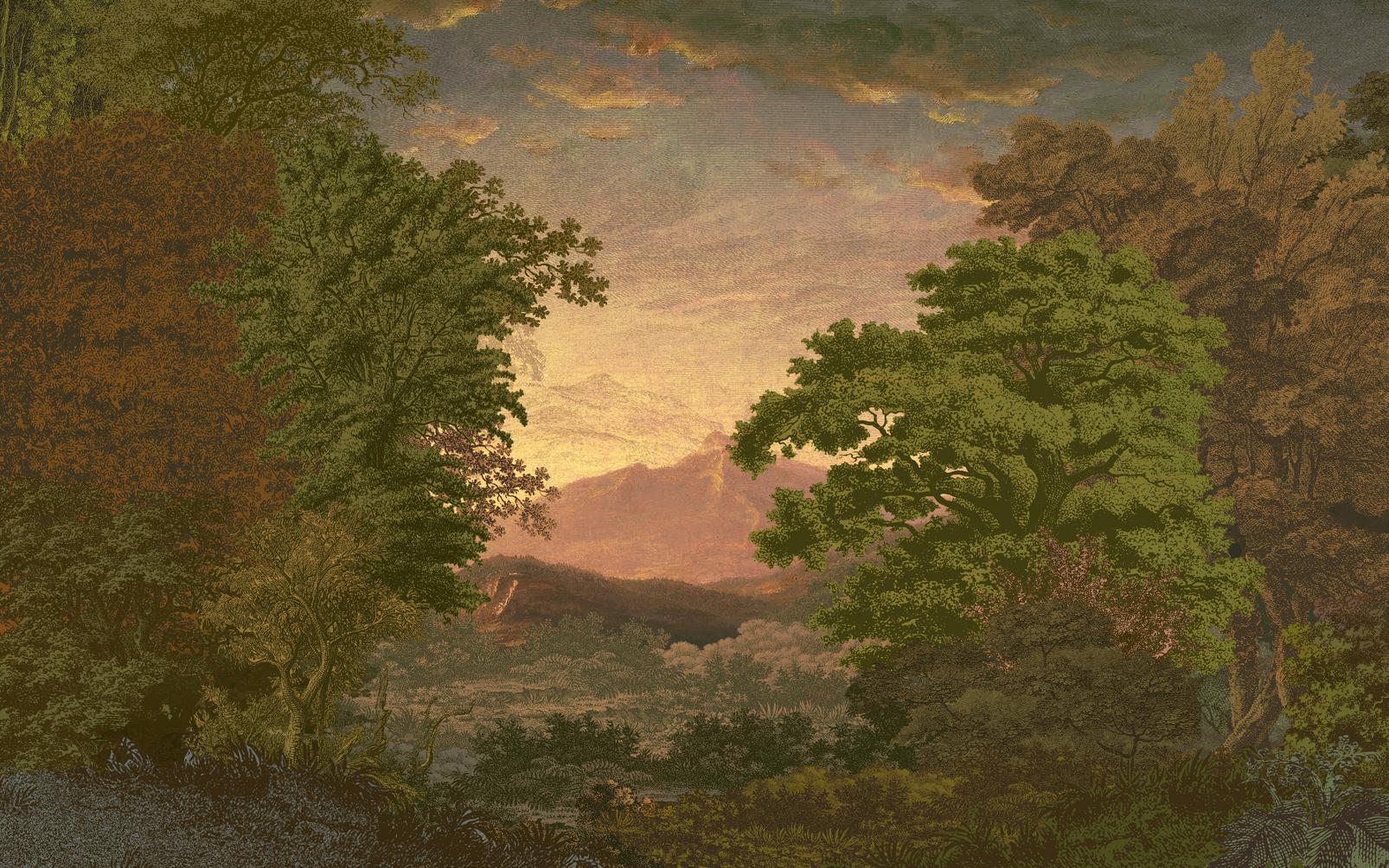 Sketch Forest Morning Bespoke Mural