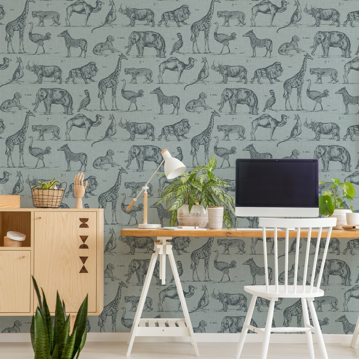 Zoology Wallpaper