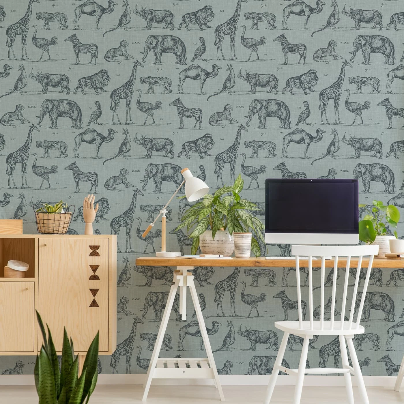 Zoology Wallpaper
