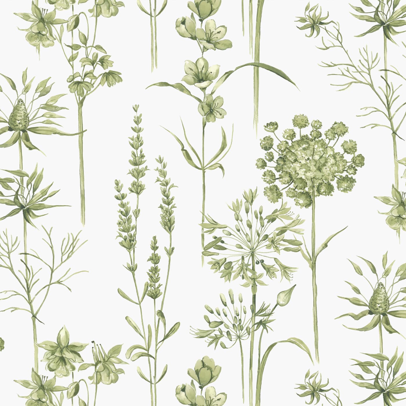 Botanical Wildflowers Wallpaper