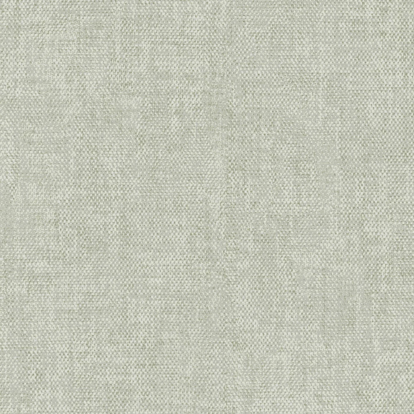 Zara Sage Wallpaper