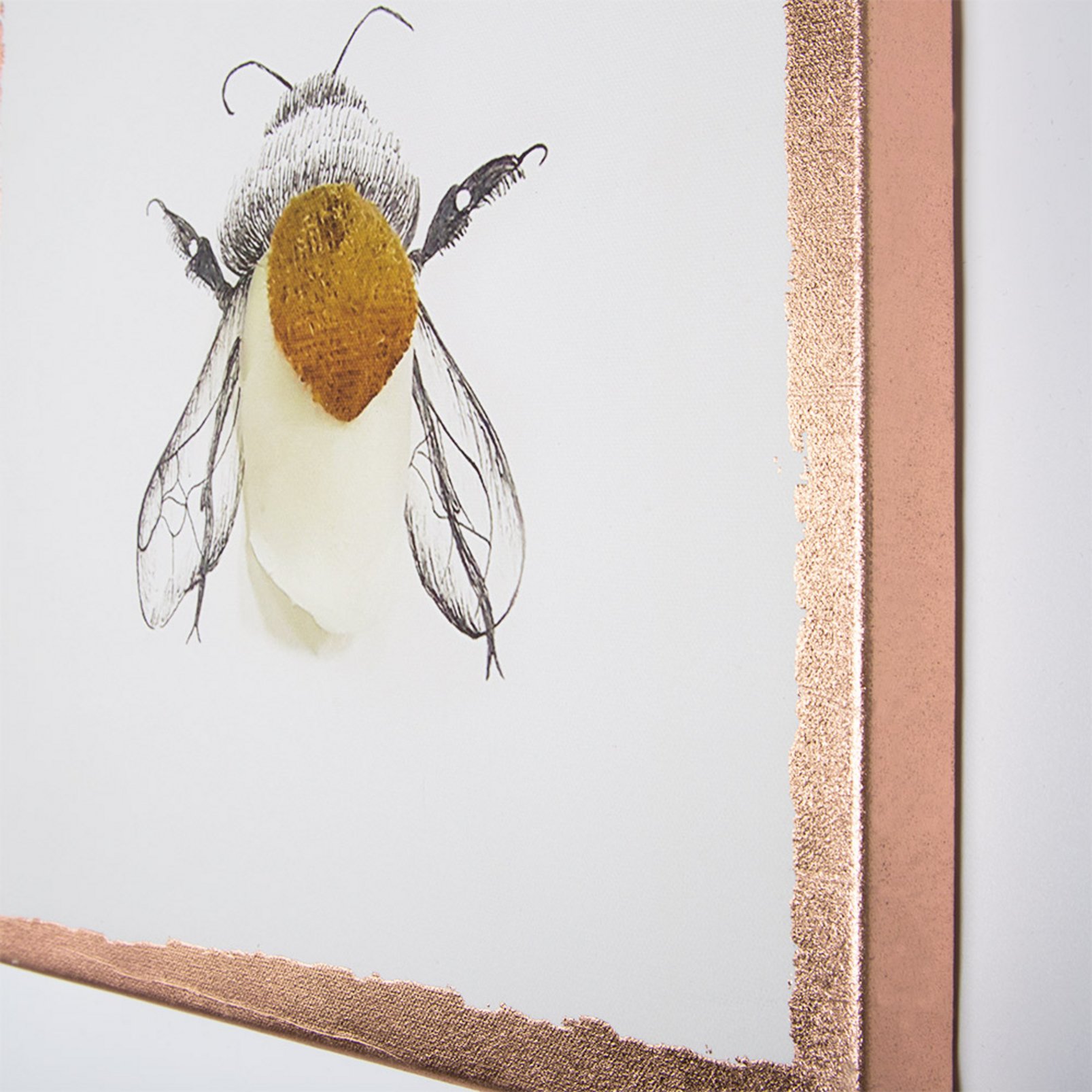 Beautiful Bugs Printed Canvas Wall Art