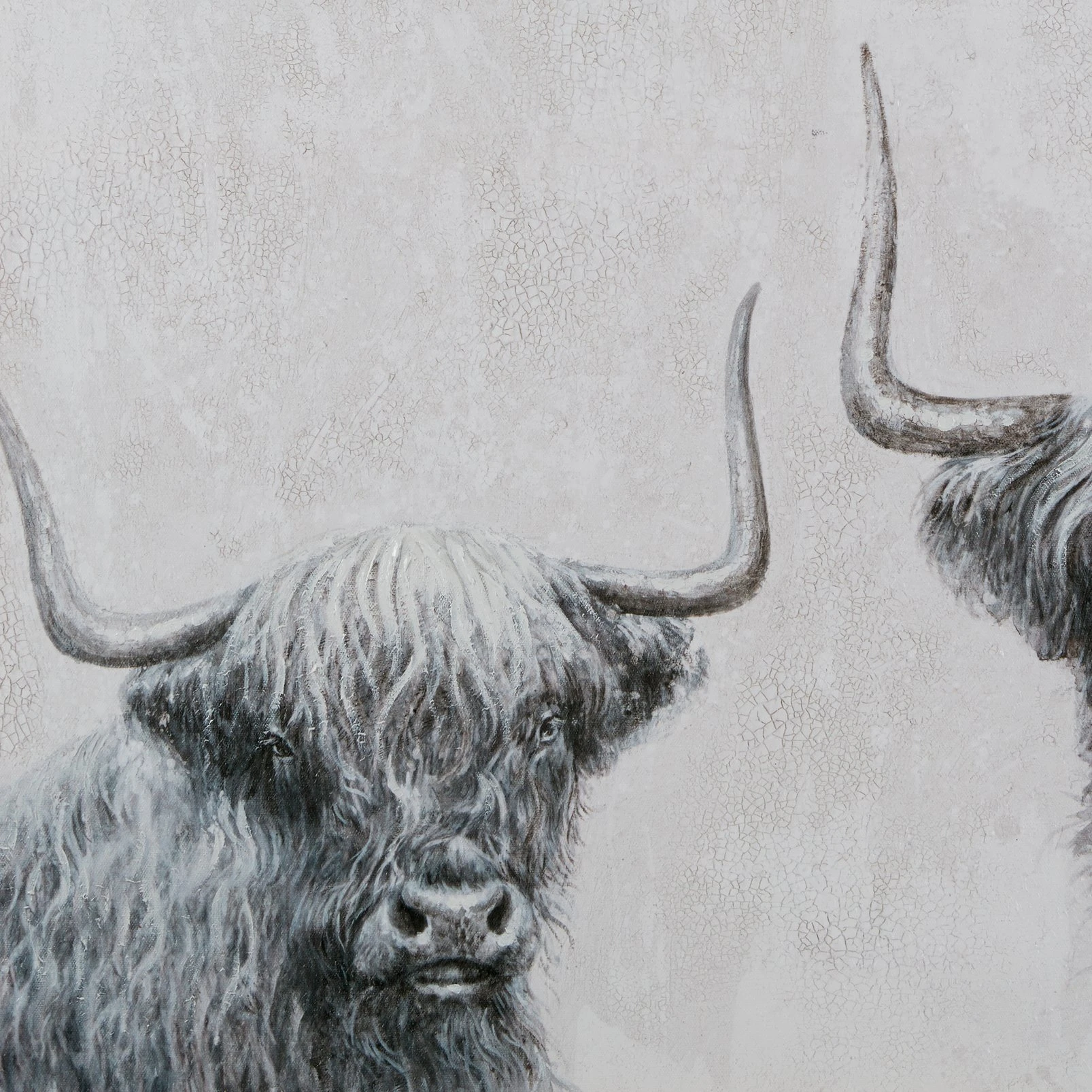 Highland Cows Box Framed Canvas