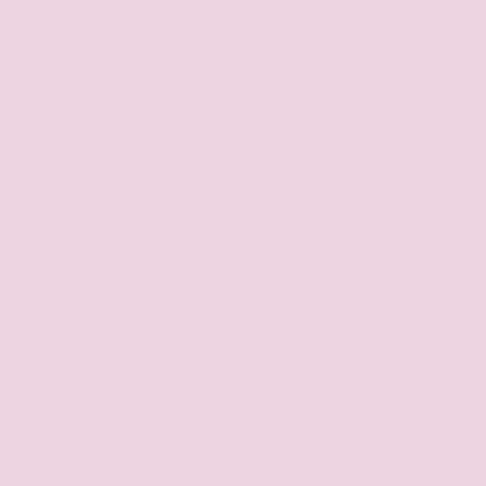 Cath Kidston Thrilled Paint