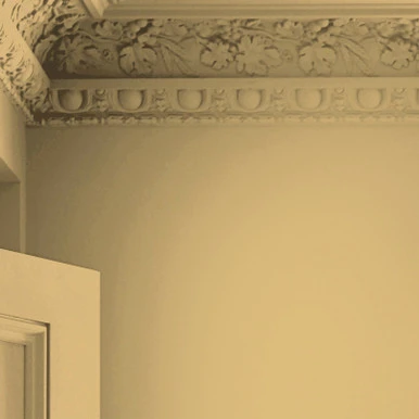 Laura Ashley Ochre Yellow Paint - 122841_DETAIL_2.5L OCHRE YELLOW MATT EMULSION PAINT_01.jpg