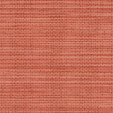 Stitch Please Terra Wallpaper - 120898_DETAIL_01.jpg