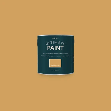 Next Warm Yellow Paint - 125054_TIN_WARM YELLOW_01.jpg