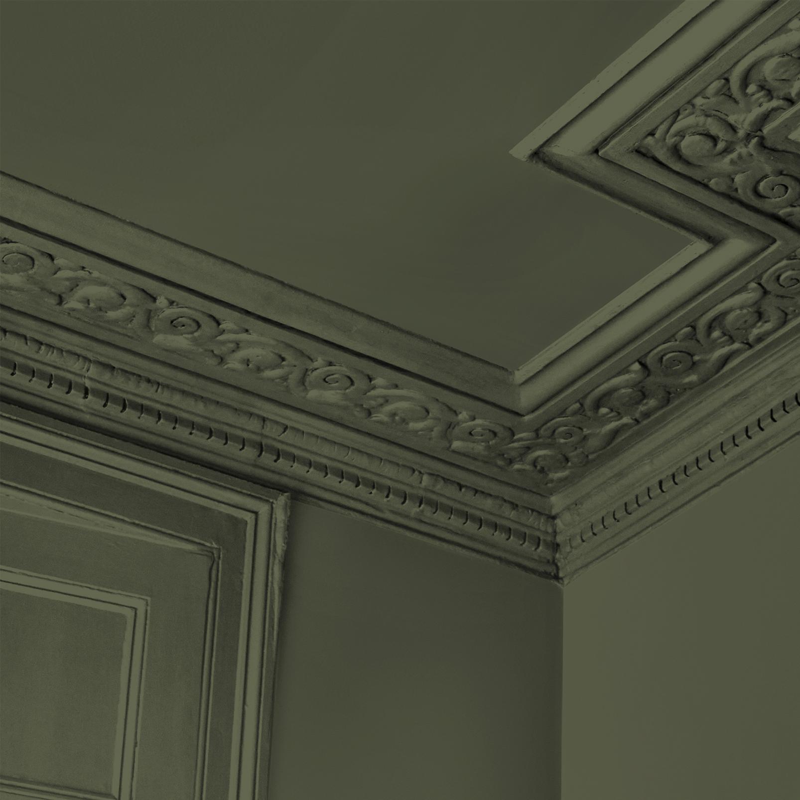 Abigail Ahern Desert Saltbush Paint