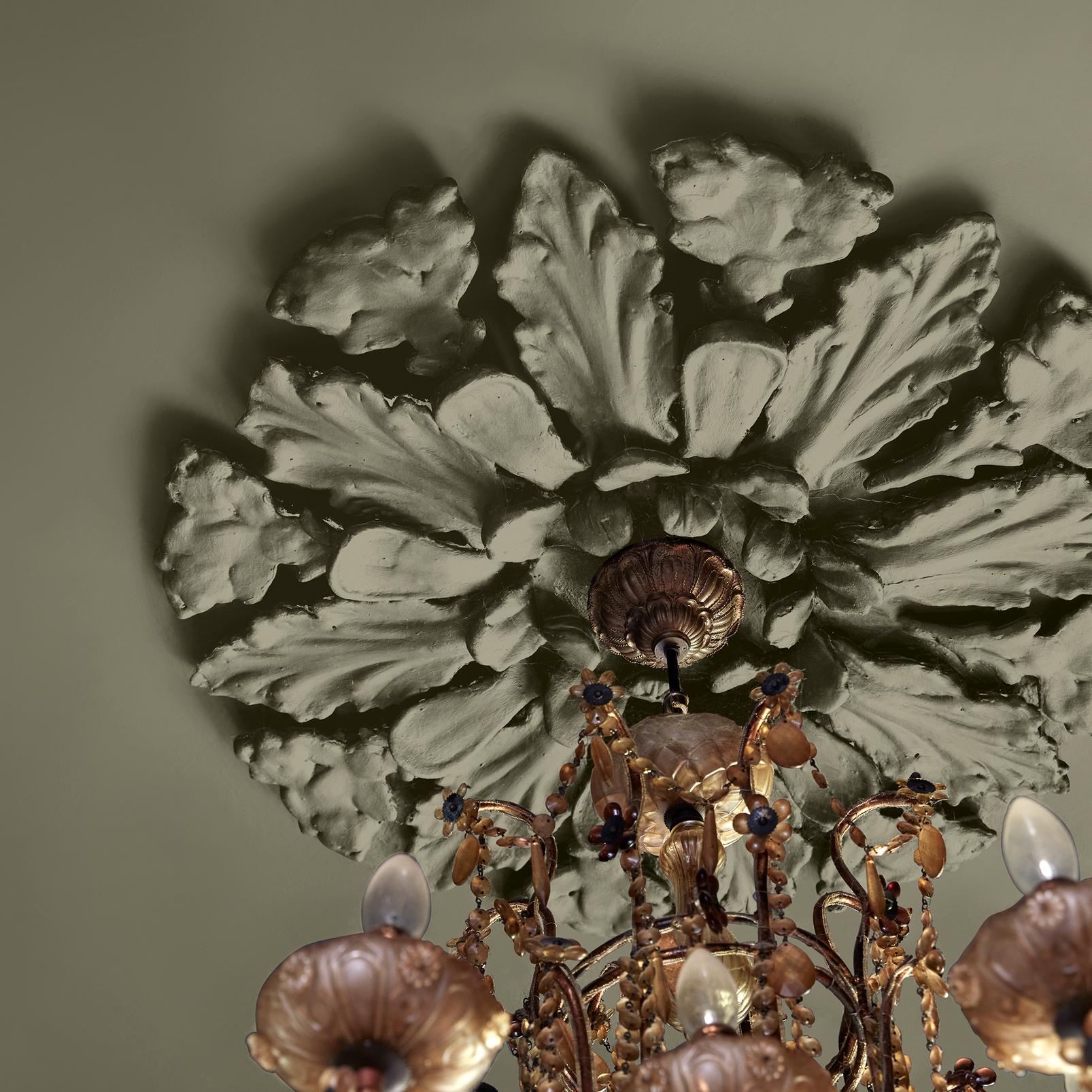 Abigail Ahern Wild Millet Paint