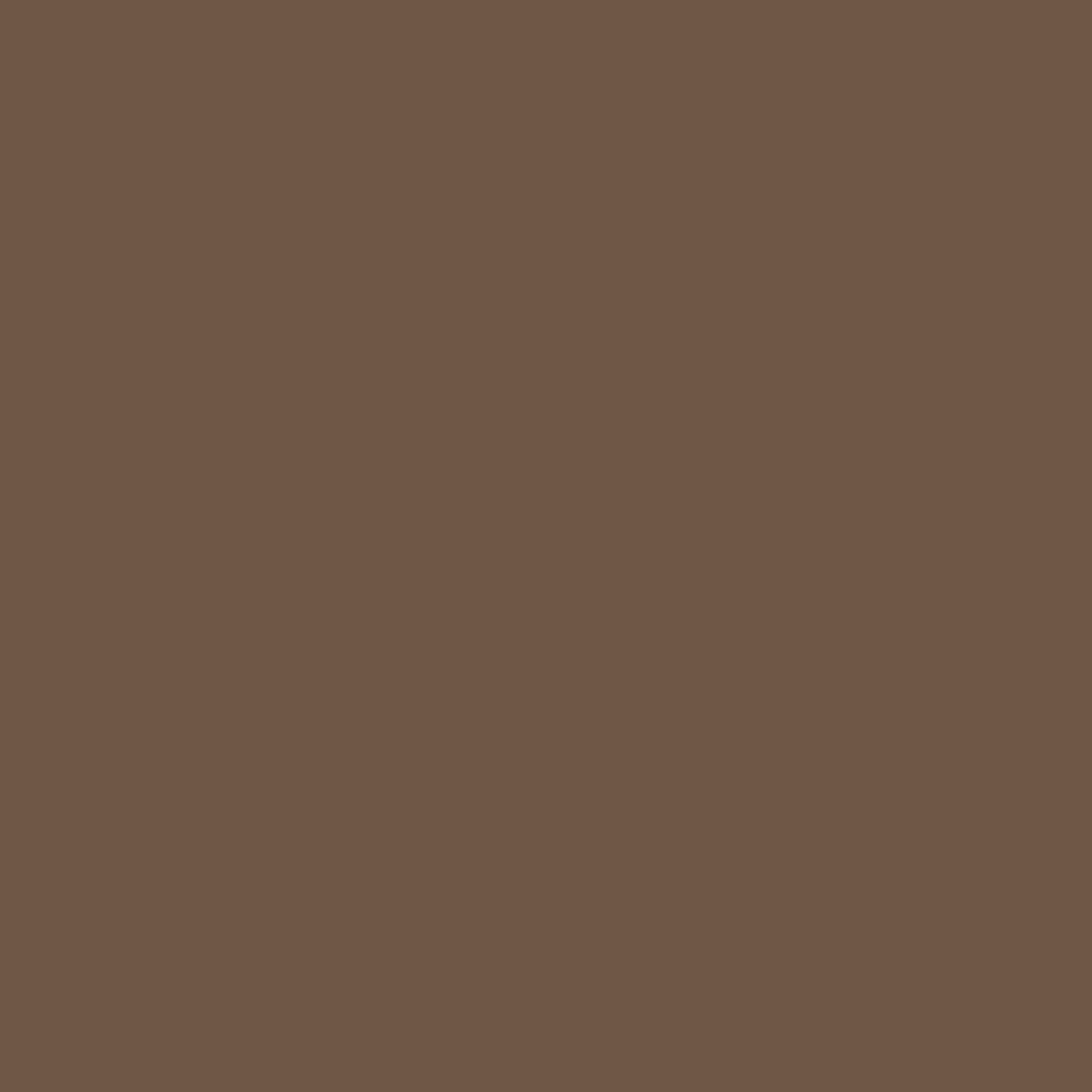 Abigail Ahern Oaken Cask Paint