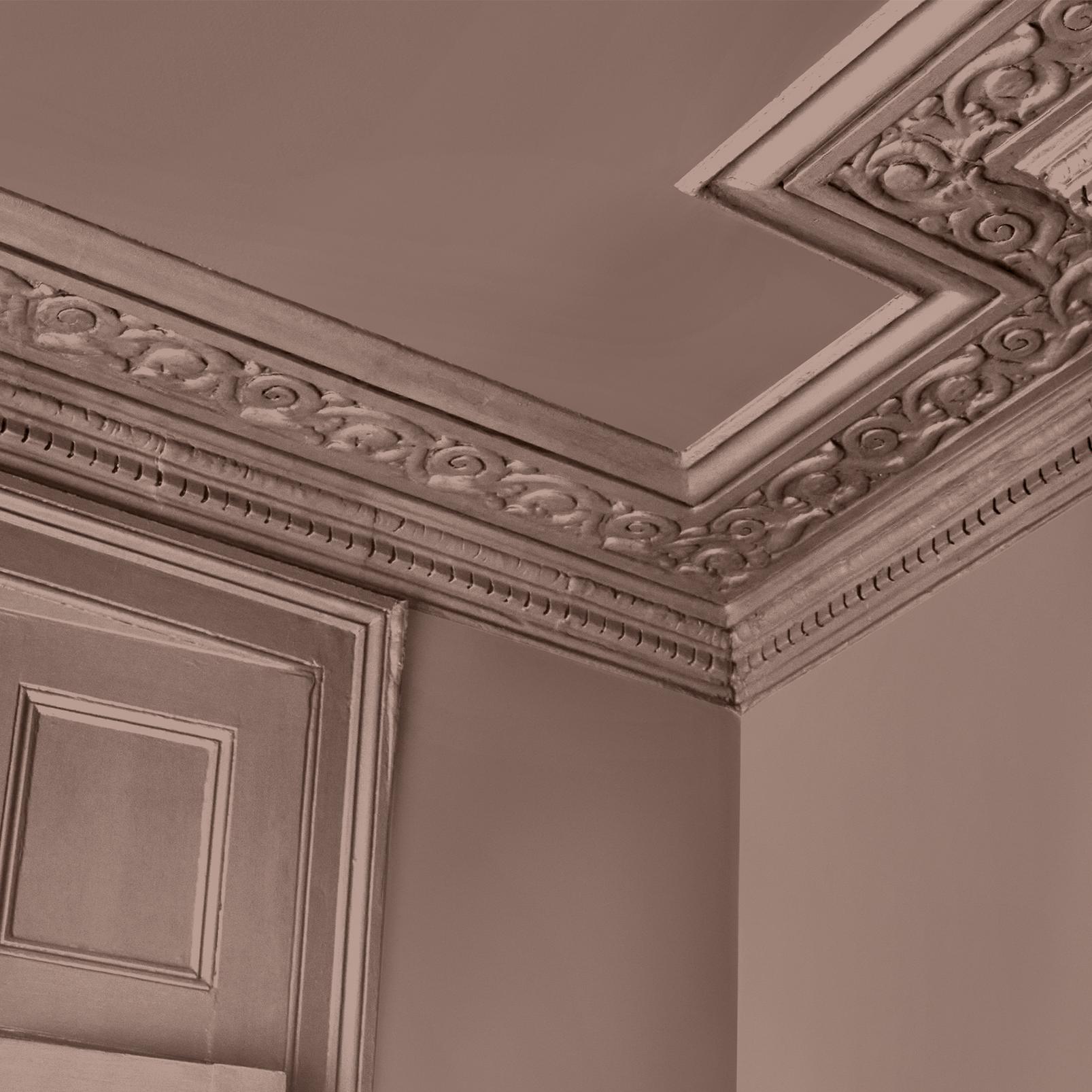 Abigail Ahern Sequoia Tree Paint