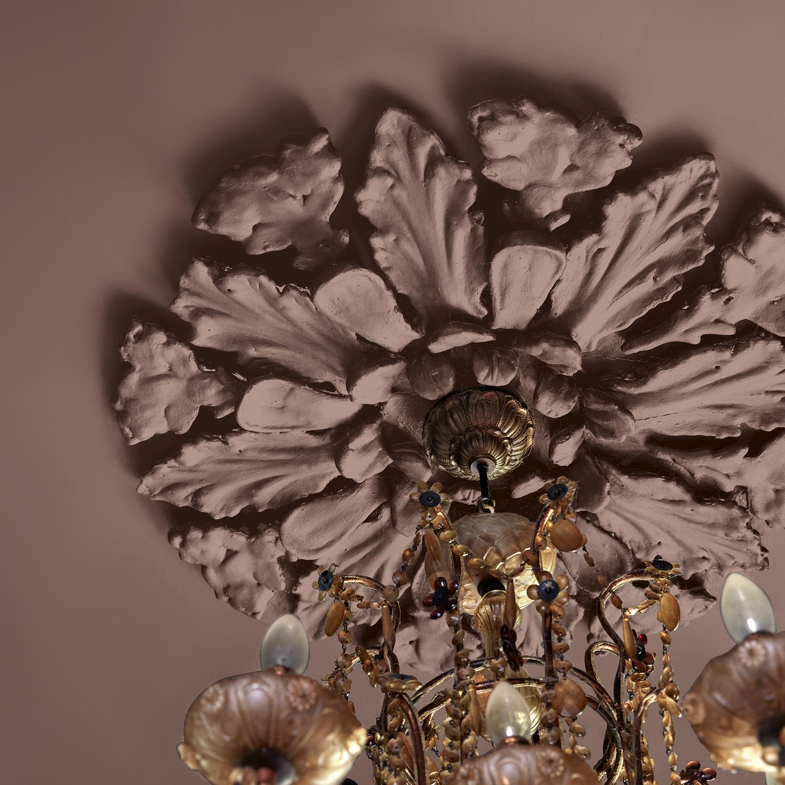 Abigail Ahern Sequoia Tree Paint