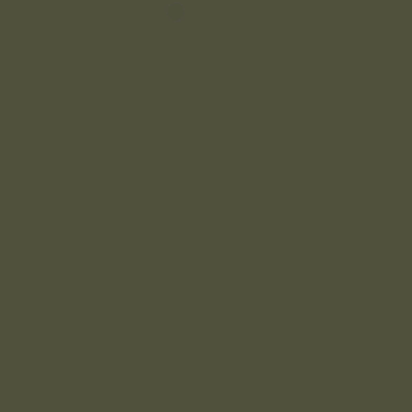 Abigail Ahern Sea Botanic Paint