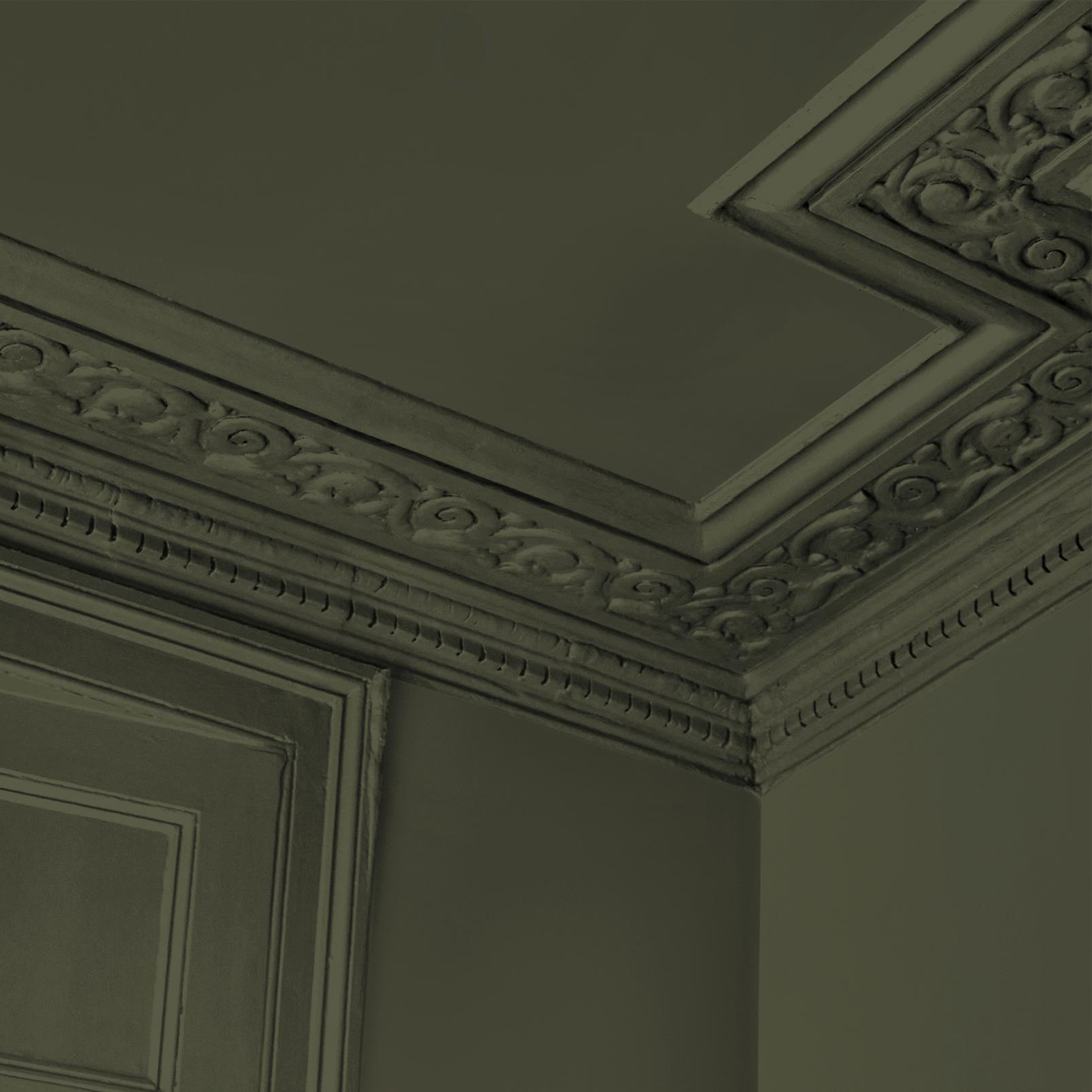 Abigail Ahern Sea Botanic Paint