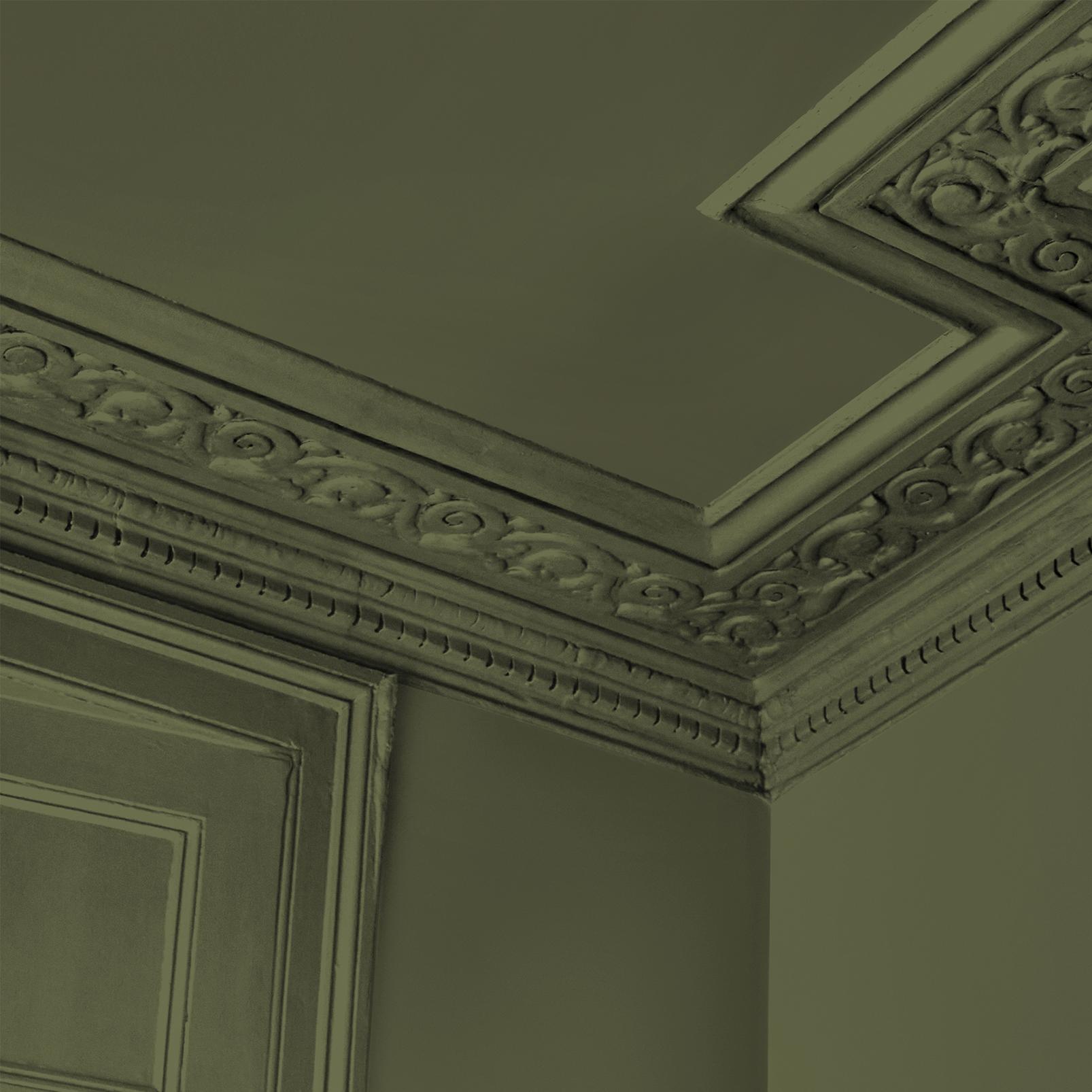 Abigail Ahern Seagrass Meadow Paint